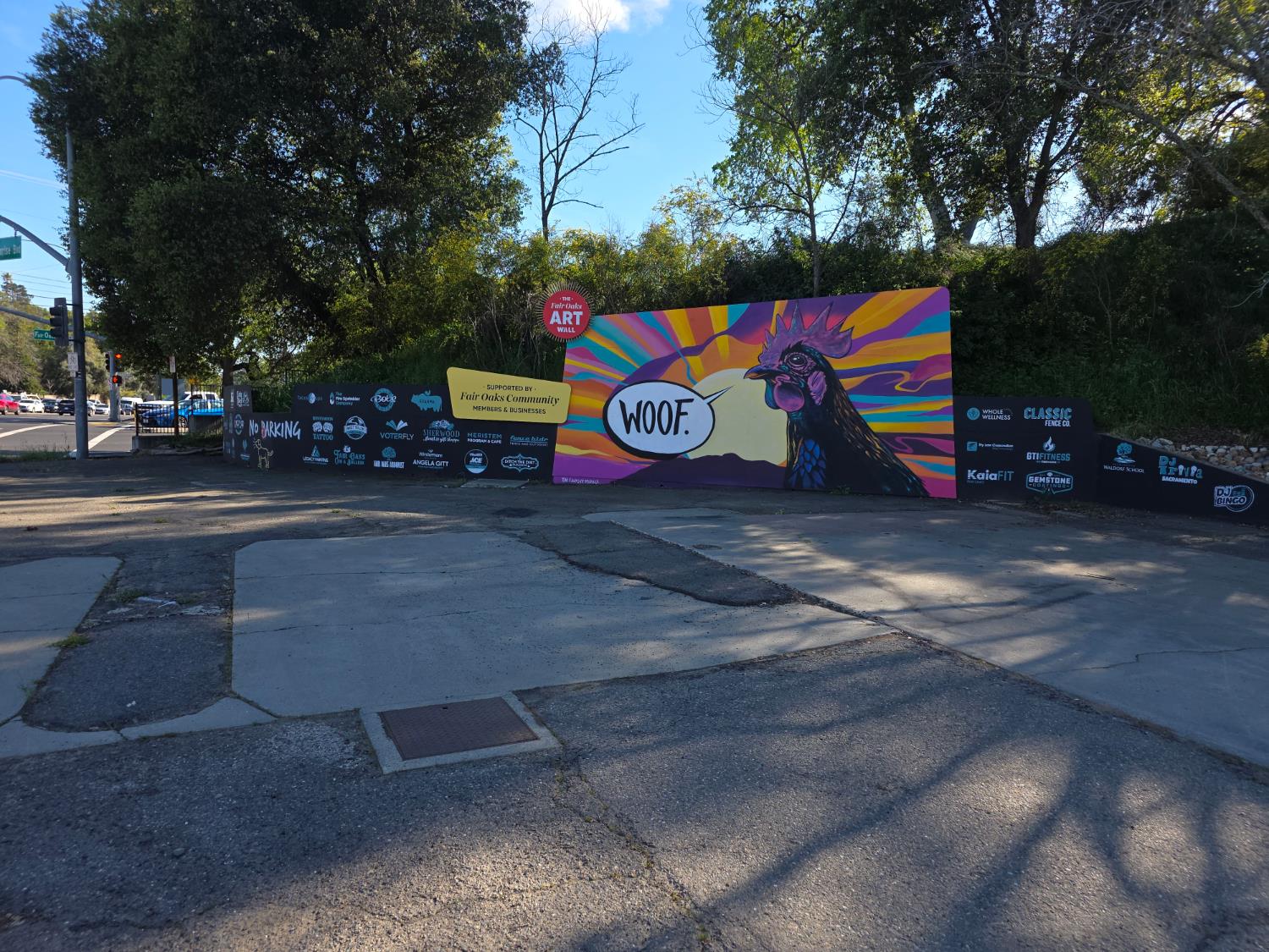 4111 Sunrise Boulevard