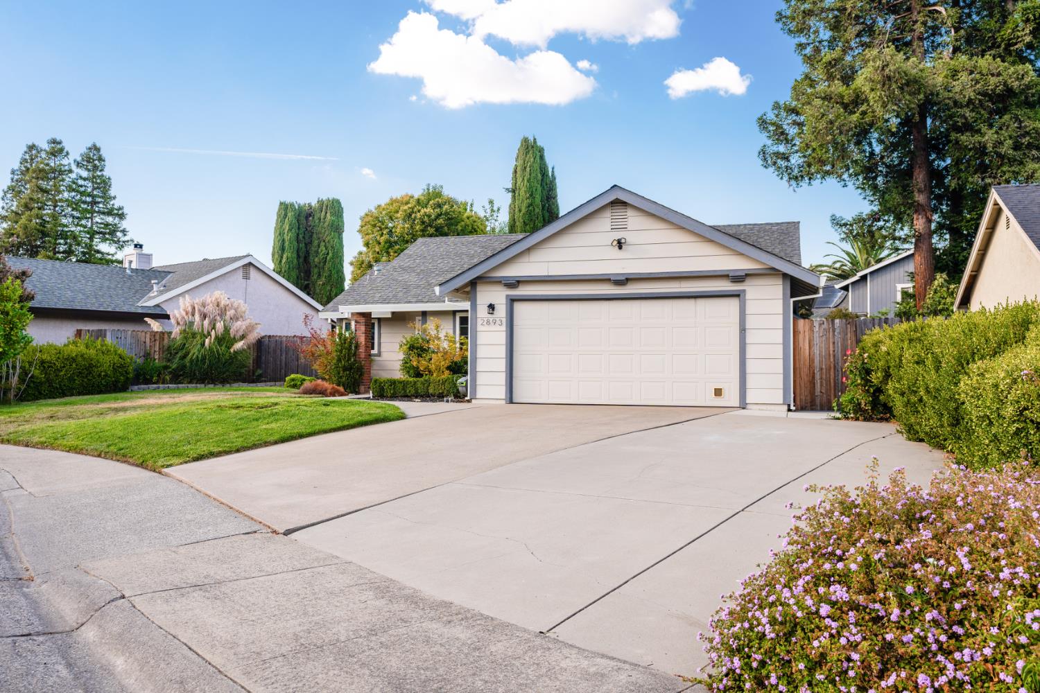 2893 Mergansers Court