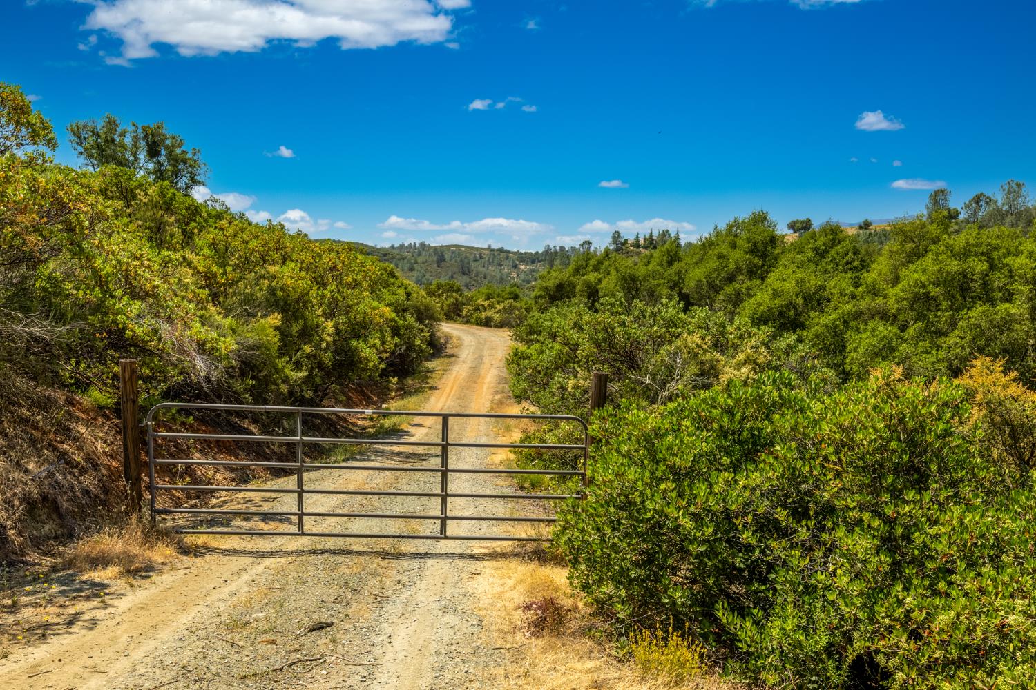 8489 White Hawk Road