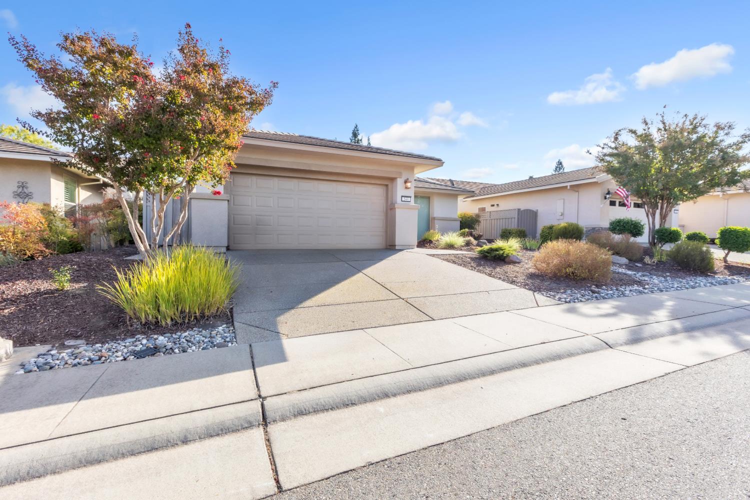 548 Belladonna Lane