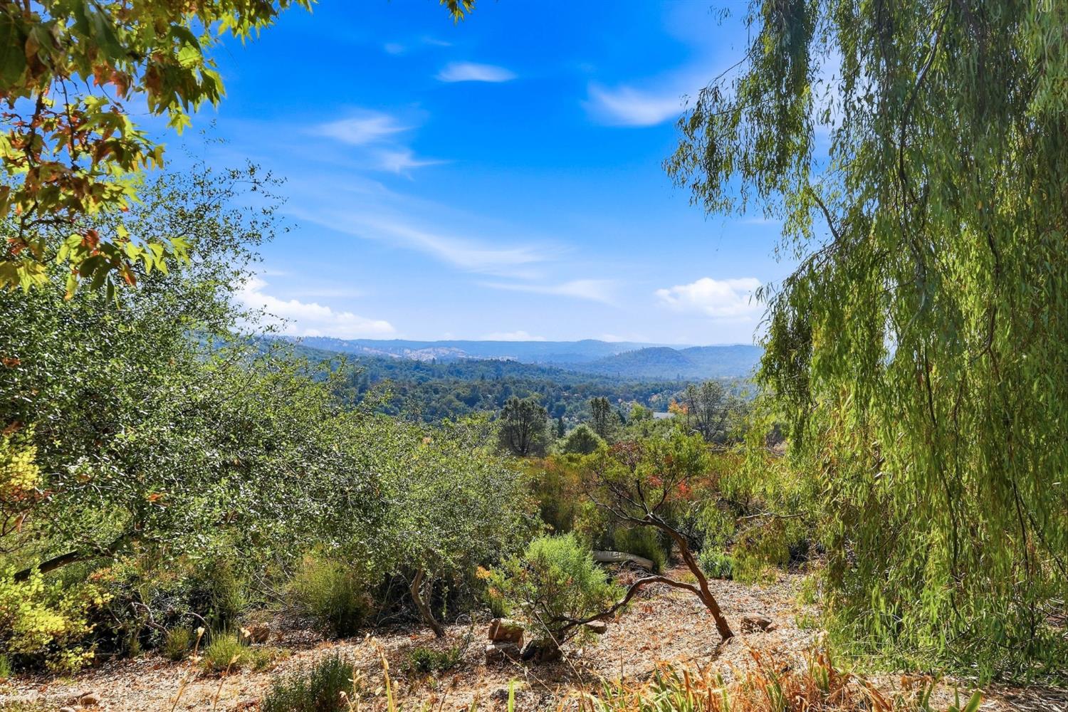 4501 El Caminito Road