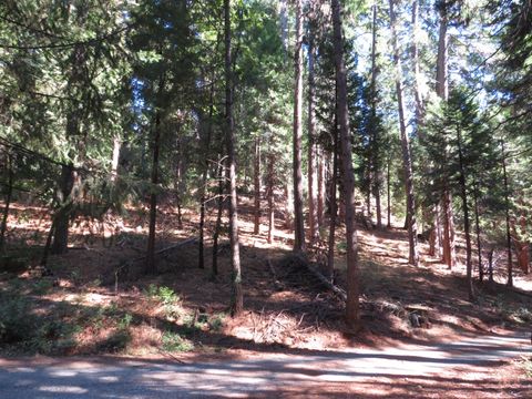 172 Sylvan Road Colfax CA 95713