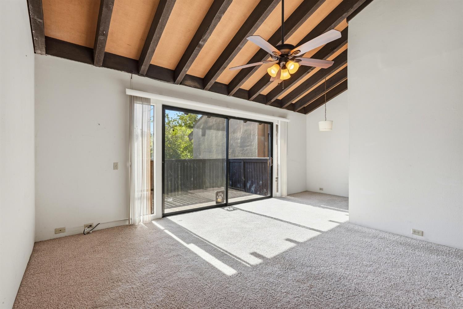 873 Woodside Lane 12