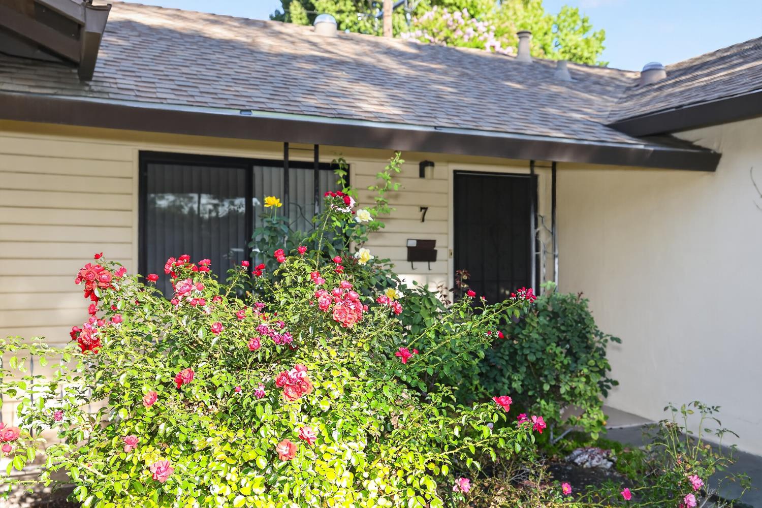 7 Winifred Court