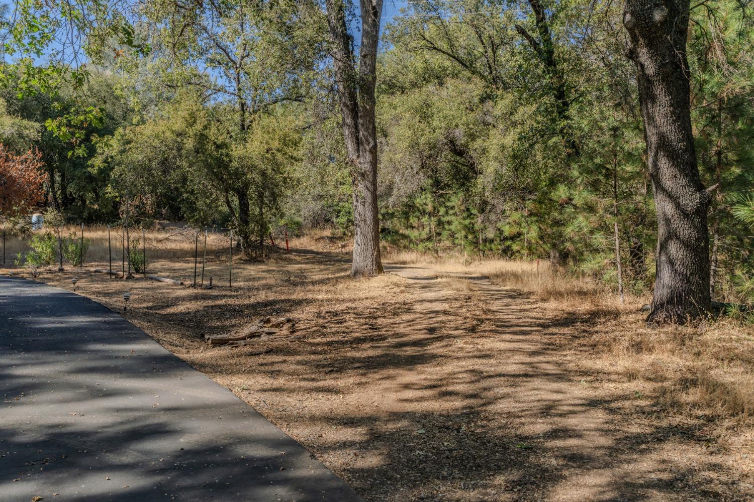 18871 Ponderosa Annex Road