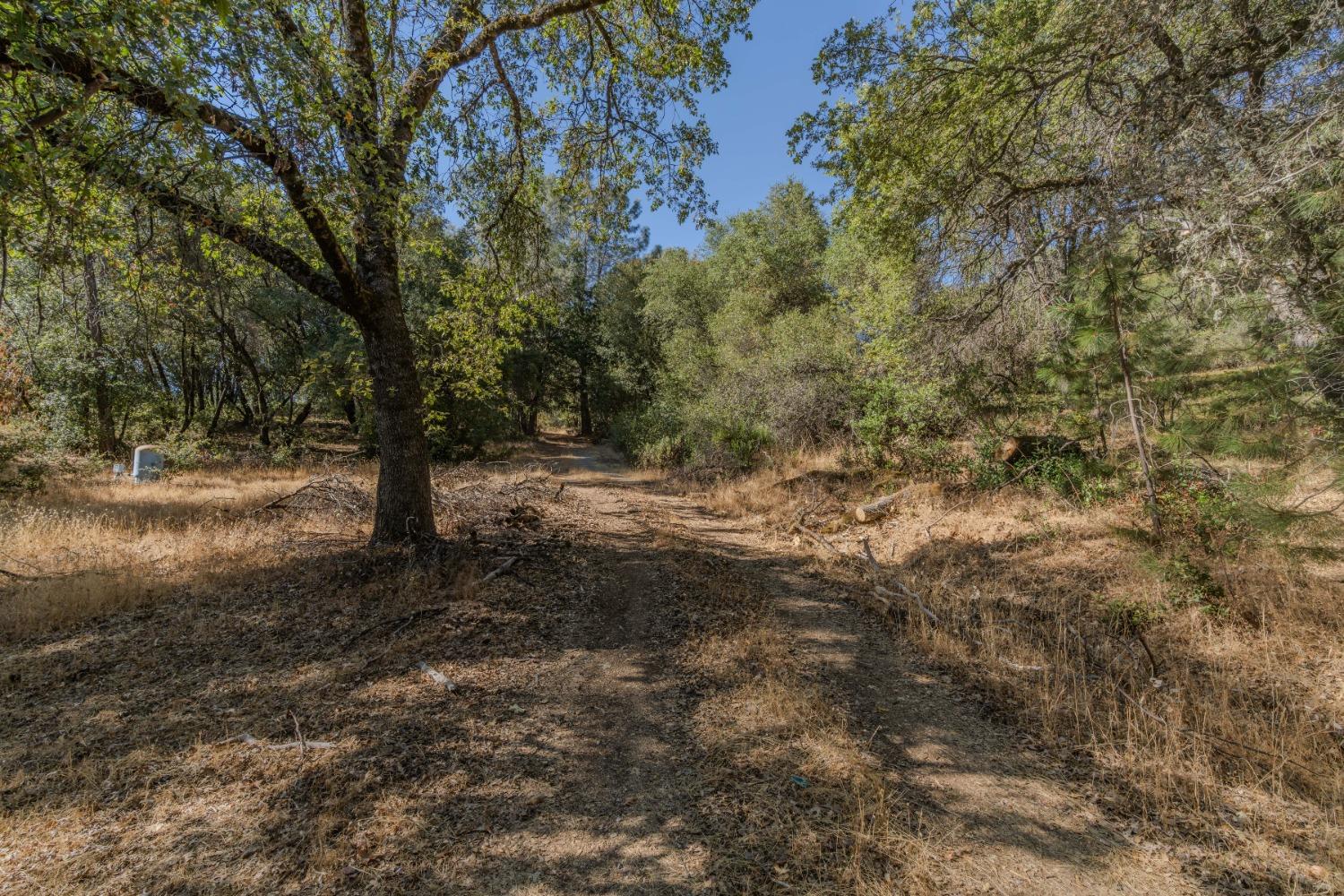 18871 Ponderosa Annex Road