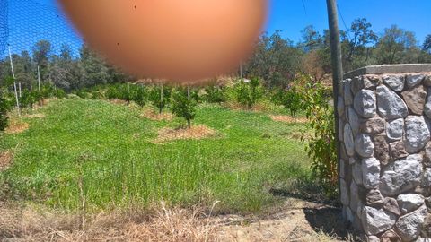 741 Eclipse Mine Auburn CA 95603