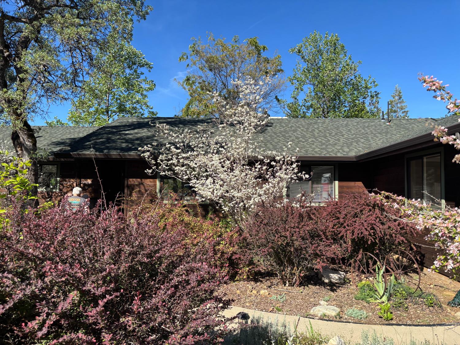 1000 Thundercloud Lane
