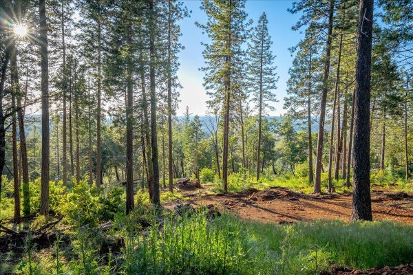 6880 WENTWORTH SPRINGS RD, GEORGETOWN, CA 95634 - Image bb0b9b29aa77d78a58e4e22391df9e3d/4197992547