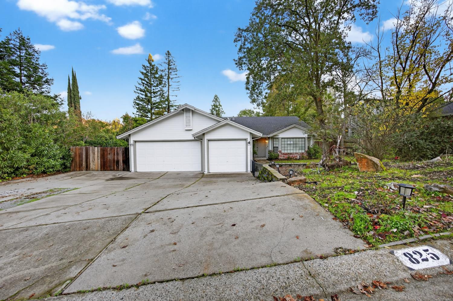 825 Mount Ranier Way