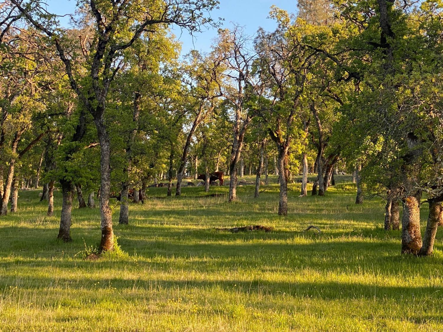 0 Hammonton Smartsville Road