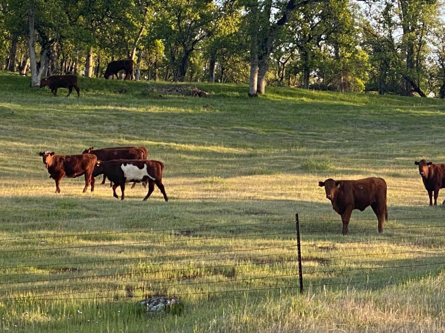 0 Hammonton Smartsville Road