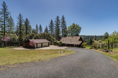 25624 Sherwood Drive Pioneer CA 95666