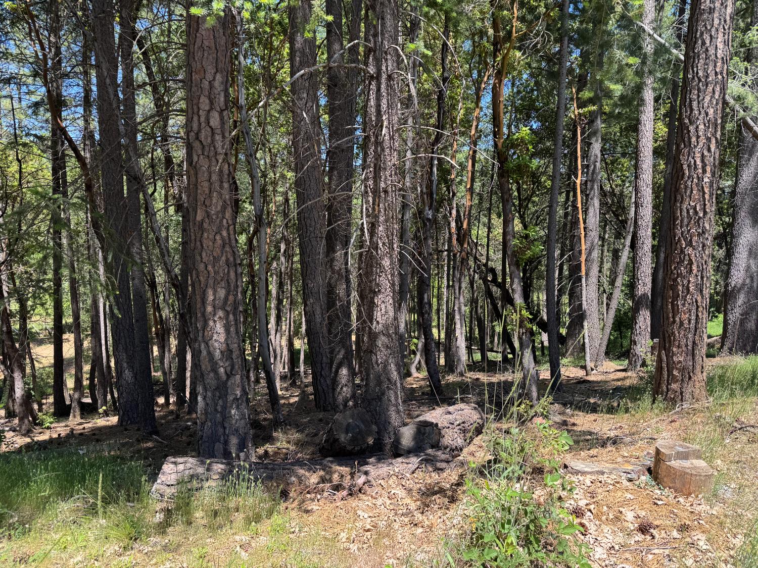 20955 Todd Valley Road