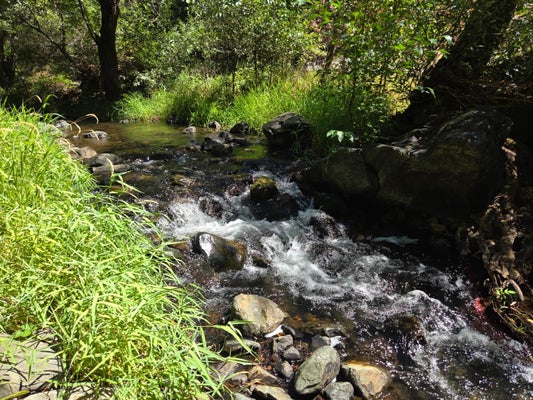 17378 SCOPAR RD, GRASS VALLEY, CA 95949 - Image bbc5f8b57cb933586bc404f2b2d9c1e5/1494462366