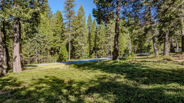 27460 STATE HIGHWAY 88, PIONEER, CA 95666 - Image bbde2553d3eb9a803cfcdc8acad07fa3/1039482594