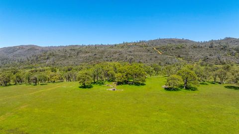 10777 Walker Trail Road Farmington CA 95230