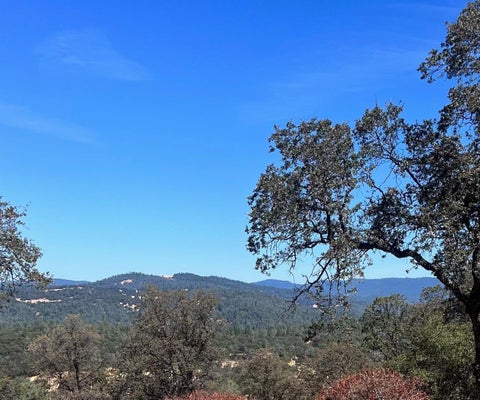 13669 APPALOOSA CT, PENN VALLEY, CA 95946 - Image bcb3d0636817992c8d028fdf3db104ff/2953859955