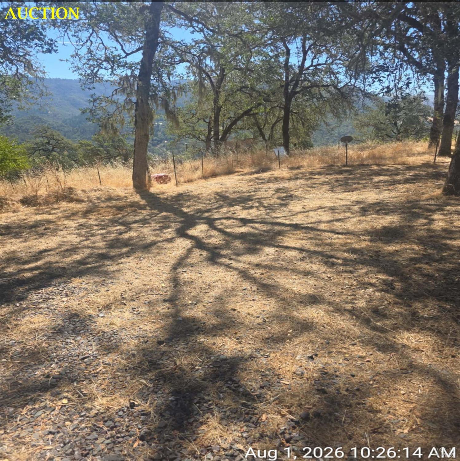 12481 Moonbeam Meadow Way
