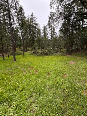 6428 TWIN OAKS CT, FORESTHILL, CA 95631 - Image bd84f68f70d668fe05e076c83eccb0cc/1920119901
