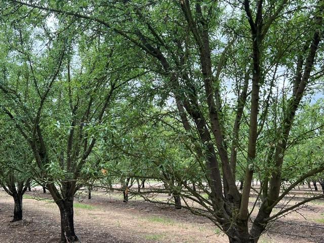 0 Berry Road