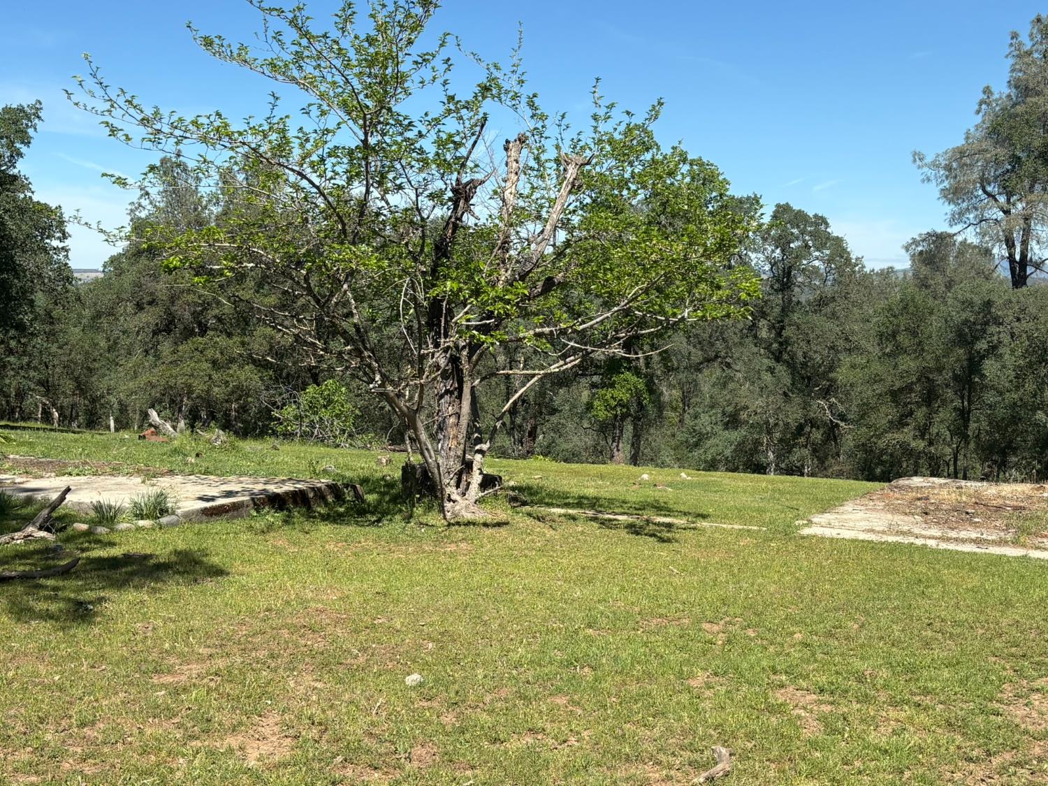 3465 Foothill Boulevard