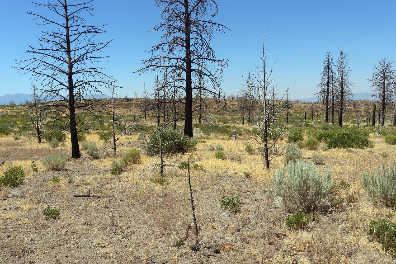 0 Juniper Valley Drive