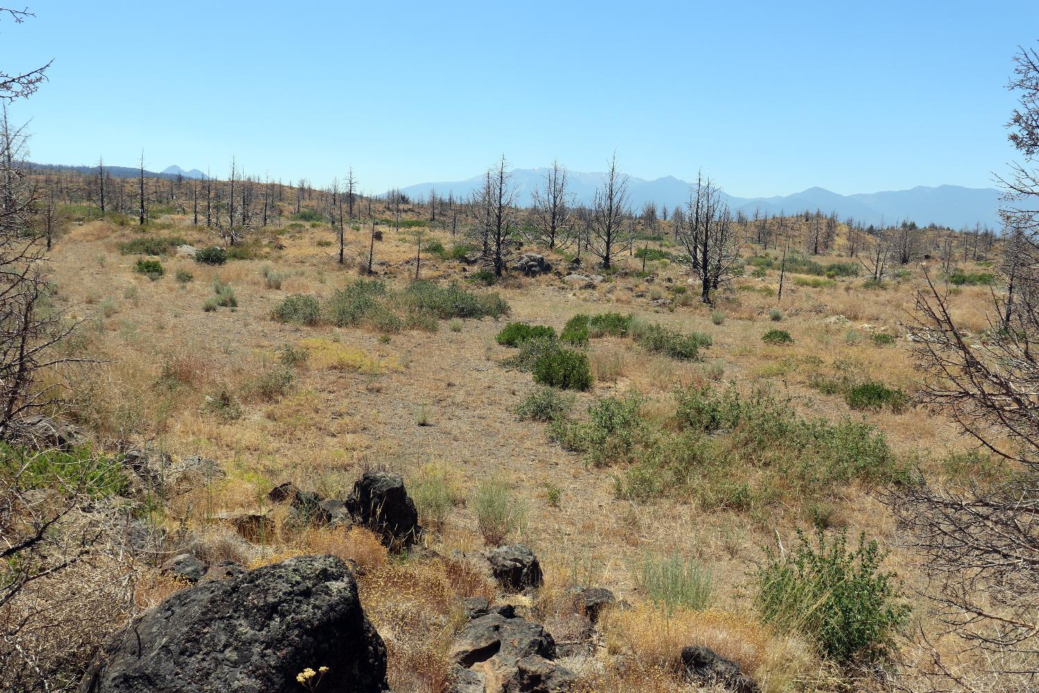 0 Juniper Valley Drive