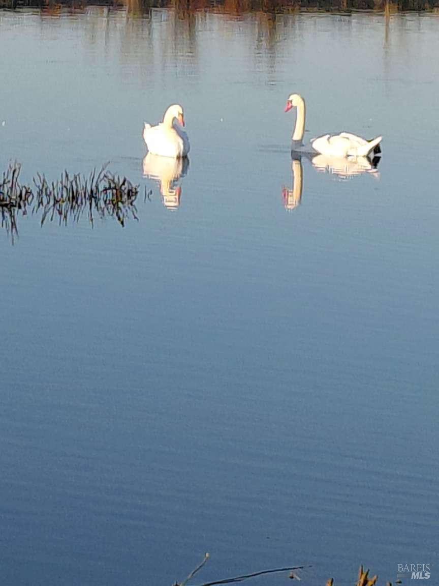 528 Wetlands Edge Road