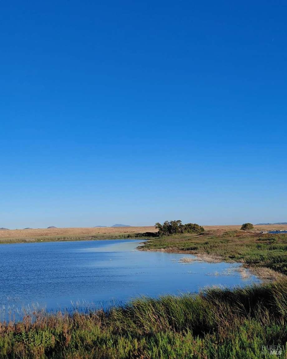 528 Wetlands Edge Road