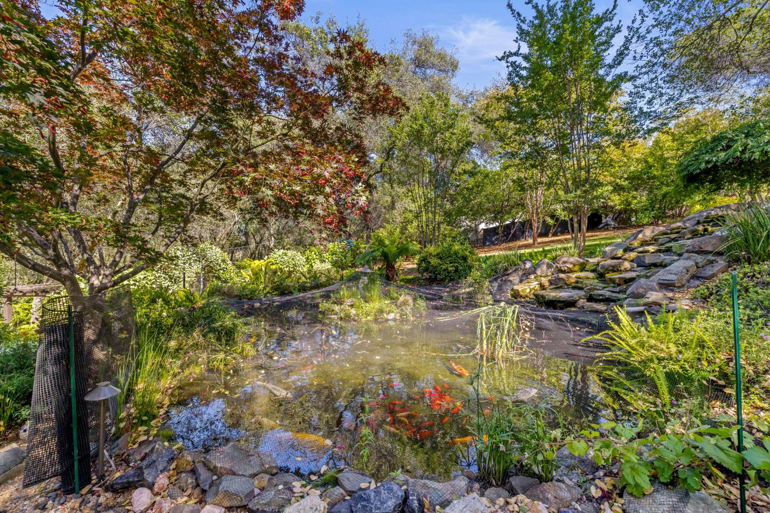 5161 Greyson Creek Drive
