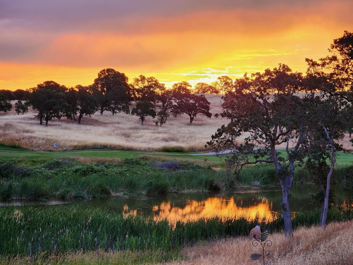 352 Mitchell Lake Lane