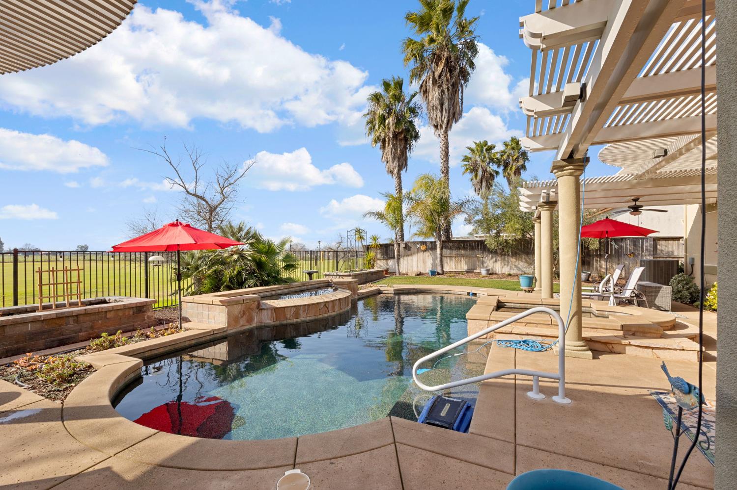 33781 Pintail Street