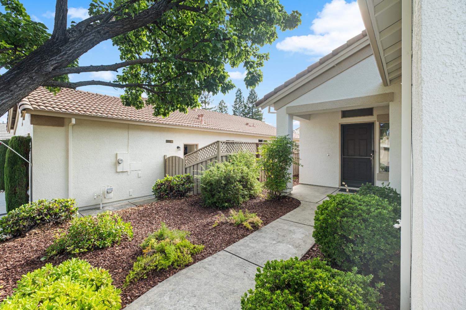 637 Geary Lane