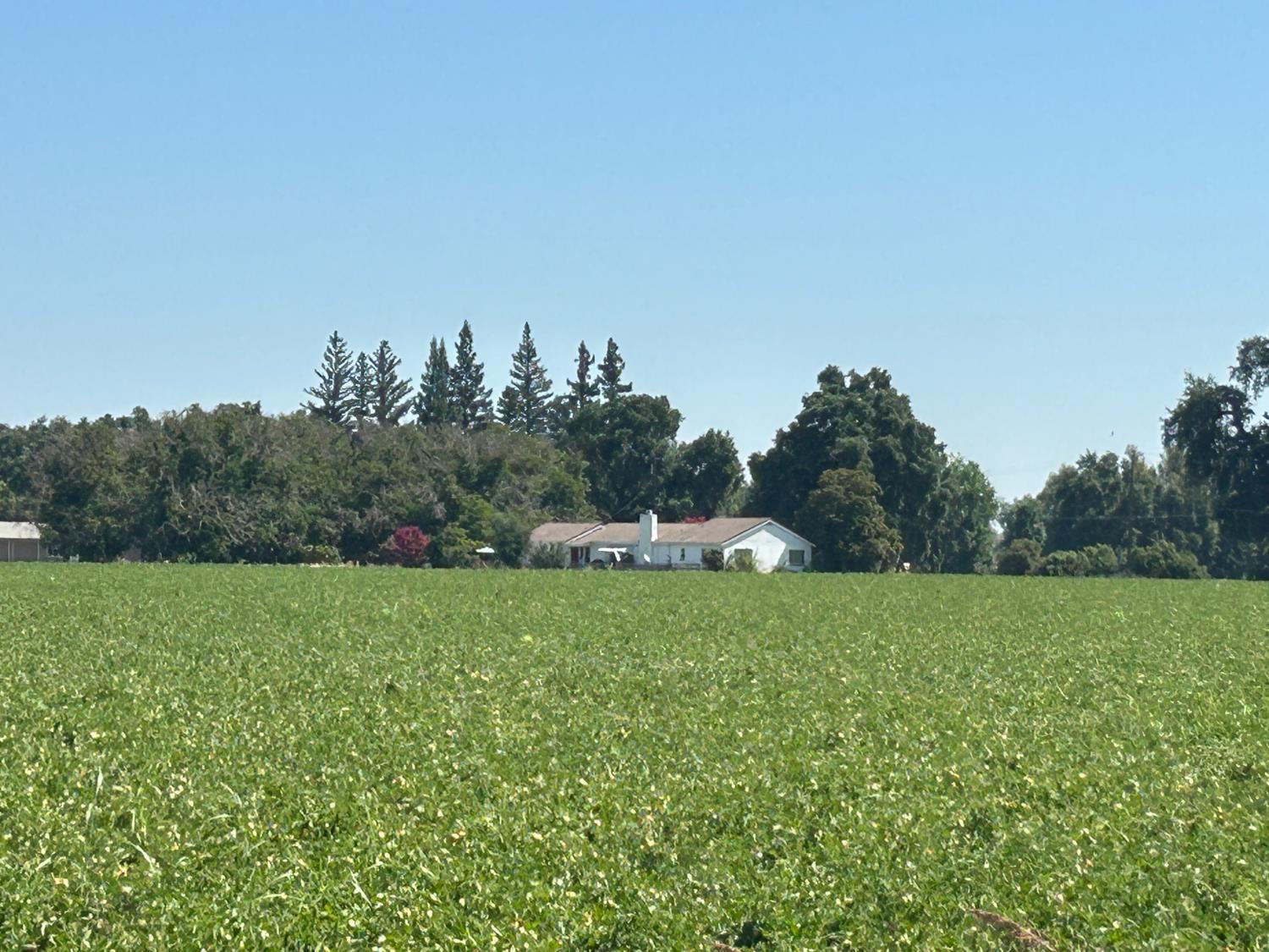 2803 S. Meridian Road