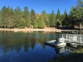 1708 Bear Clover Court