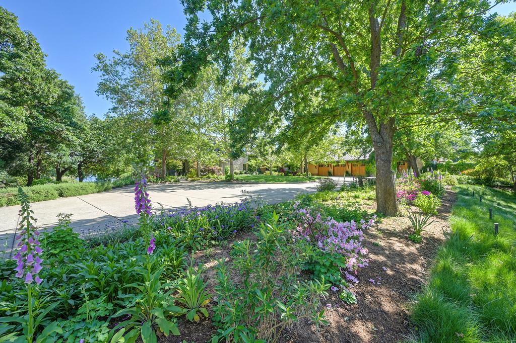 1850 W Twisted Vine Way