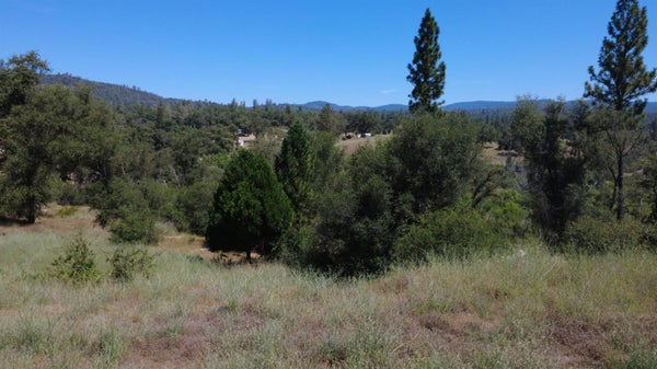 390 DARBY RD, BANGOR, CA 95914 - Image c098a49ca578c3f2995211a8d7008334/3567096471