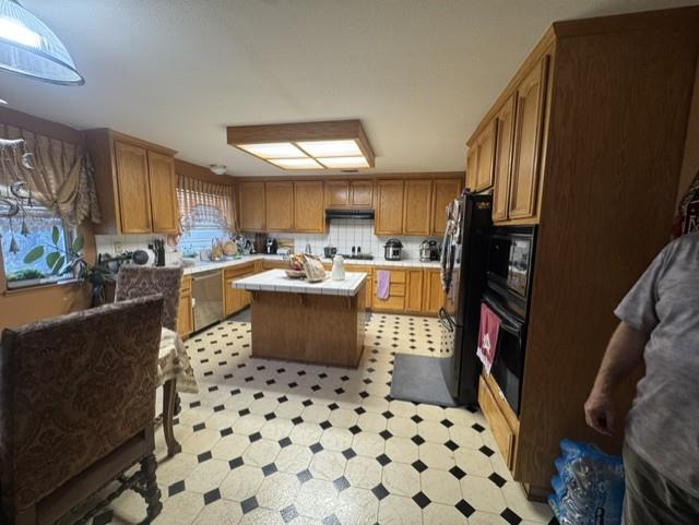 8174 silver leaf Way