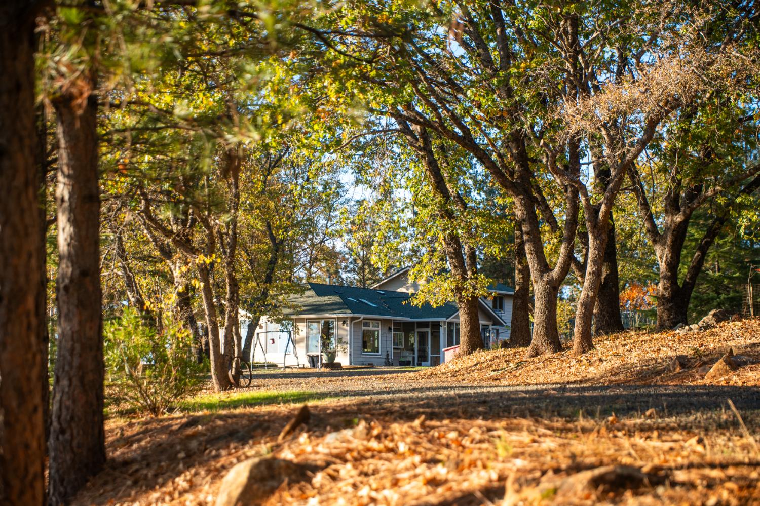 14990 Willow Glen Road