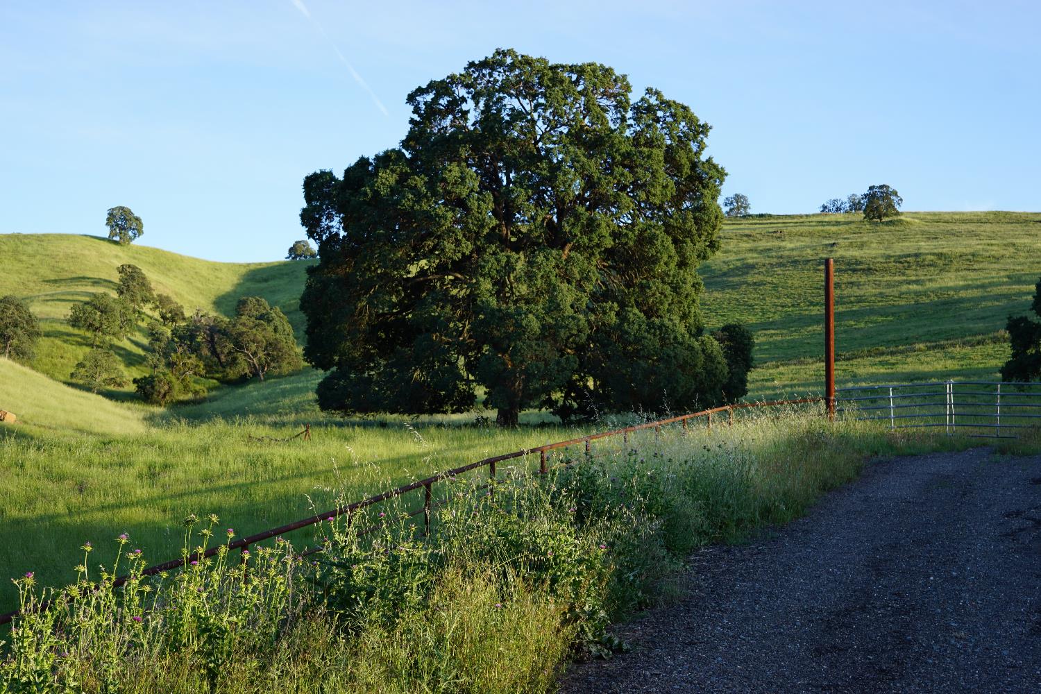 9830 New Chicago Road