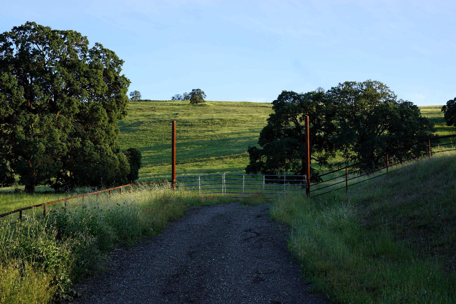 9830 New Chicago Road