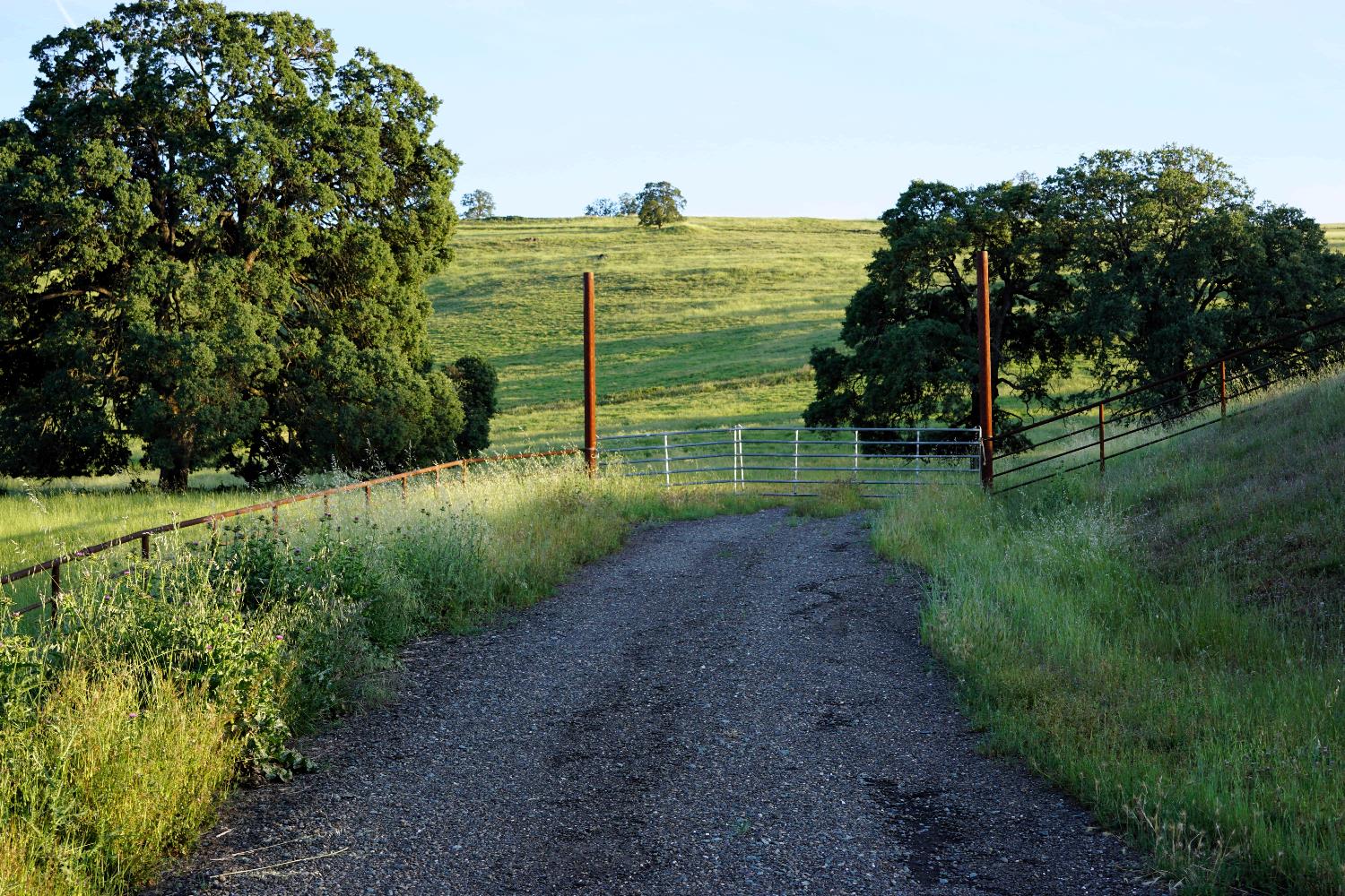 9830 New Chicago Road