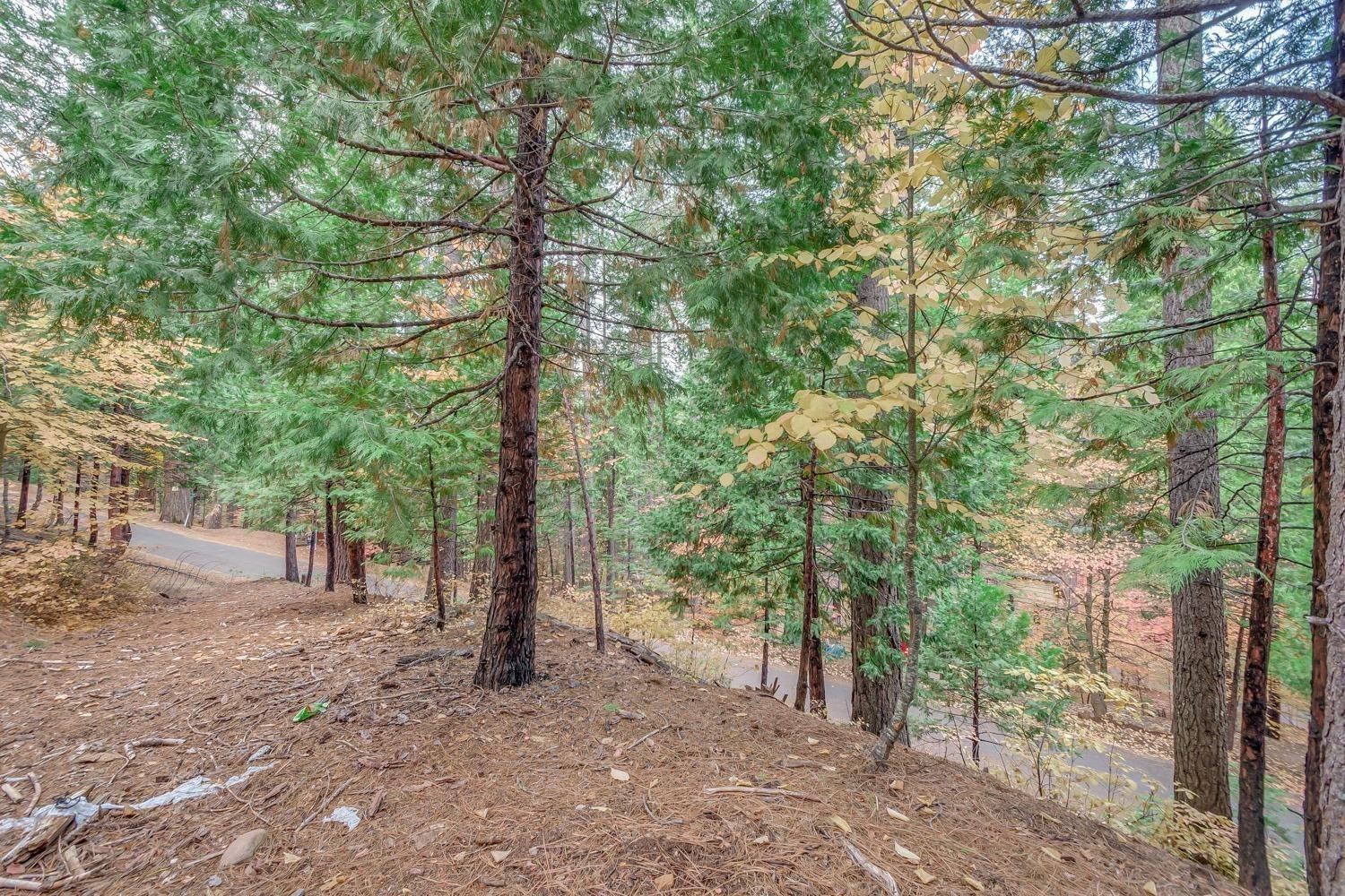 1695 Manzanita Drive
