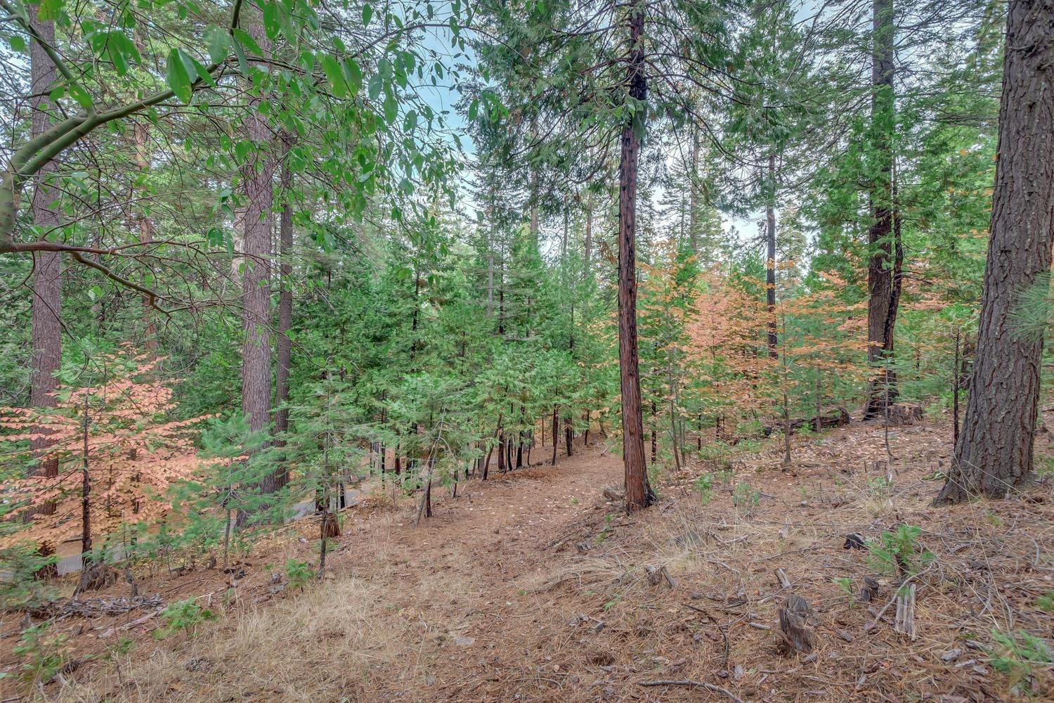 1695 Manzanita Drive