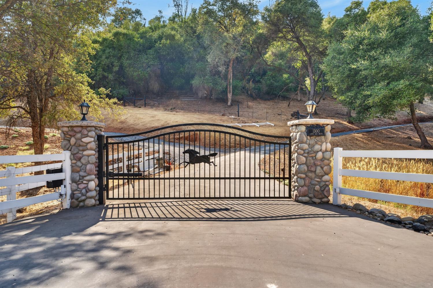1300 Large Oak Drive