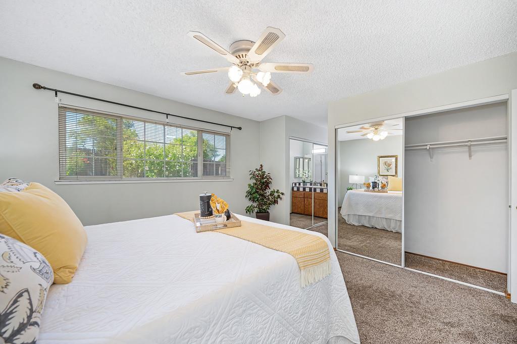 6553 Willowleaf Drive