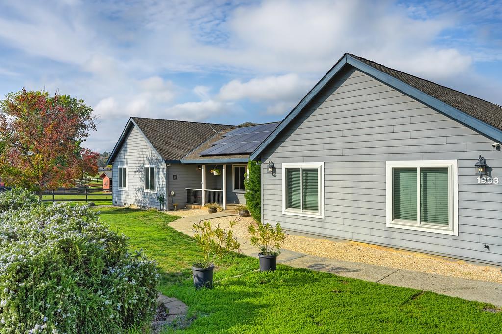 1993 American River Trail