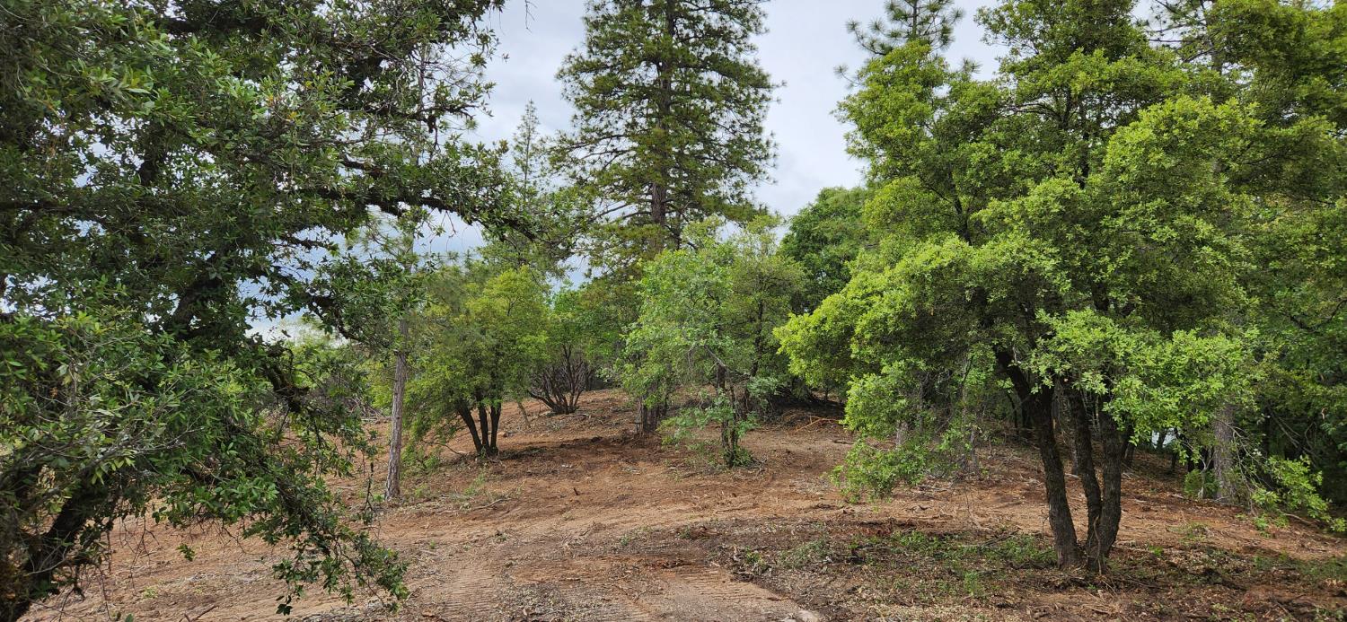 18148 Greenhorn Road