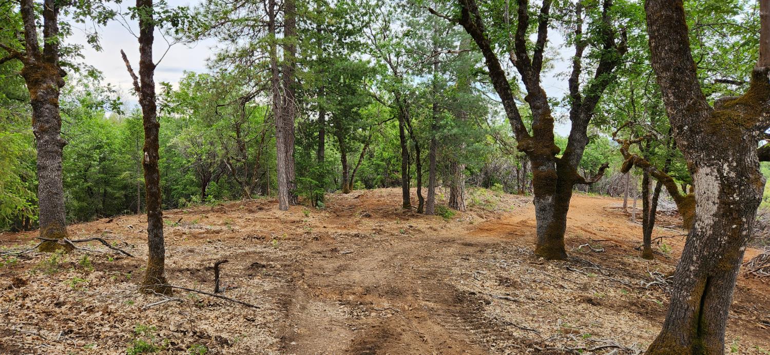 18148 Greenhorn Road